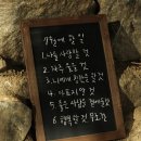 언제나사랑할개 | 미련 없이 사랑할 것