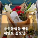 내일도꽃모닝 | 가성비좋고 예쁜 용인 동백동 꽃집 내일도 꽃모닝(가격, 종류)