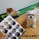 더블에이플랫폼