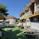 안면독스애견펜션 이미지