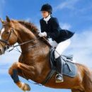 엘크루 블루오션 상가 이미지