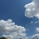 미영사 | 24년 5월 ❶ ㅣ 휴가 휴가 휴가 사고 입원 입ㅇ원