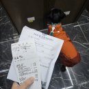 비나인동물병원 | 서산 24시 올 동물병원 - 좋았던 점과 아쉬운 부분 진료비 솔직 후기