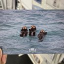 여유의집 이미지