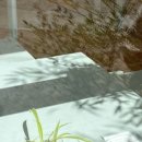 속초휘테 이미지