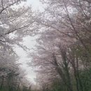 산록도로휴게소