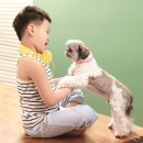 착한강아지 이미지