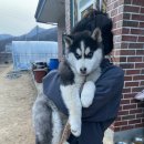 청평동물병원 이미지