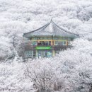 (주)강남실버복지센터 이미지
