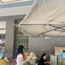 대가리 염소 농장 | 나트랑 판랑사막 단독 택시투어 후기