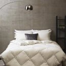 태평양광택 이미지