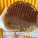 와플대학 내발산 캠퍼스 | 와플대학 부안캠퍼스 두바이초코와플 후기