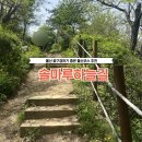 솔마루길 남산 | 울산 봄 꽃구경 하기 좋은 곳 추천 / 봄내음이 가득한 ’솔마루길‘ 등산로 방문 후기