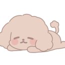 더누리개 이미지