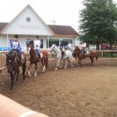 통도승마랜드 이미지