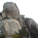 에덴동산 이미지