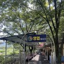 대림애견 | [대구 가창 맛집] 애견동반 가능한 계곡식당 ‘대림식당’ 솔직후기