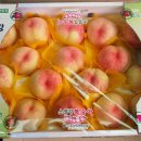 사암농장 이미지