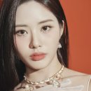 나인컨셉 이미지