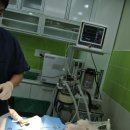 Dr.윤24시동물병원 | (은평구 Dr.윤24시동물병원) 홀리가 무릎골 탈골수술로 내원했어요.