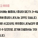 이남지 이미지