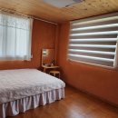 이솔팜스테이 | 고창펜션, 이솔팜빌리지 풀빌라펜션 마리재 방문후기