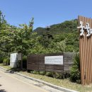초록마을대구 | 대구 옻골마을 산책 후기, 한옥과 숲길이 조용했던 대구 가볼만한곳