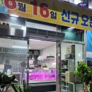 육대가 Daum카페