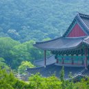울산축산농협한우프라자 이미지