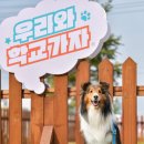 우리주식회사 이미지