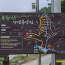 (주)자연들마트 | 여수 숙소 봉황산자연휴양림 | 숲속의집 동백나무 이용 후기 (+예약 꿀팁)