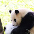 임오