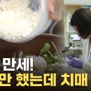 치매 예방 유산균 이미지