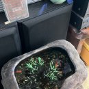 백송다방 이미지