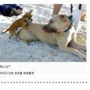 아,귀여워 이미지