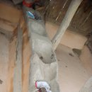 이웅재고가 이미지