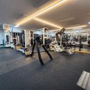 디에스짐 이미지