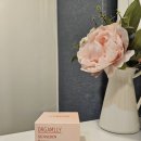 오가도 | 건선피부 구원자 발견! 오가밀리 센시딘 베리어 크림 솔직 후기 ✨