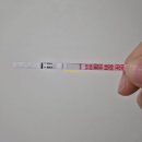 광진구보건소 | 착상혈, 임테기 첫 두줄, 임신확인서, 광진구보건소 임산부등록