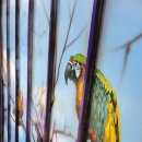 구암3리 이미지