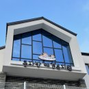 콩자반 애견유치원 이미지