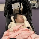 종달씨사이드 | 10개월아기랑 세부여행 첫날(워터프론트에어포트,누스타리조트,필리호텔)