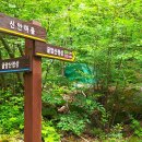 김해 굴암산 - 화산 이미지