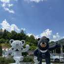 GS25 진부점 | 강원도 정선 파크로쉬 리조트앤웰니스 내돈내산 솔직 후기