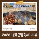 정이캣 | 겨울 공주군밤축제 2026 리뷰 첫째날 주차 체험 먹거리
