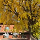 경복궁역 1번출구 앞 | 서울 은행나무 명소 스태픽스 서촌 테라스 카페 가을 단풍 여행