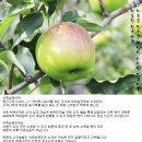 승진농장 이미지