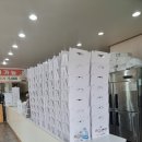 창원옥수수찐빵