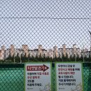 시립호수테니스장 | [안산] 안산도시공사 호수시립테니스장 대관 예약 방법 및 이용 후기