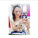 팜스테라 이미지